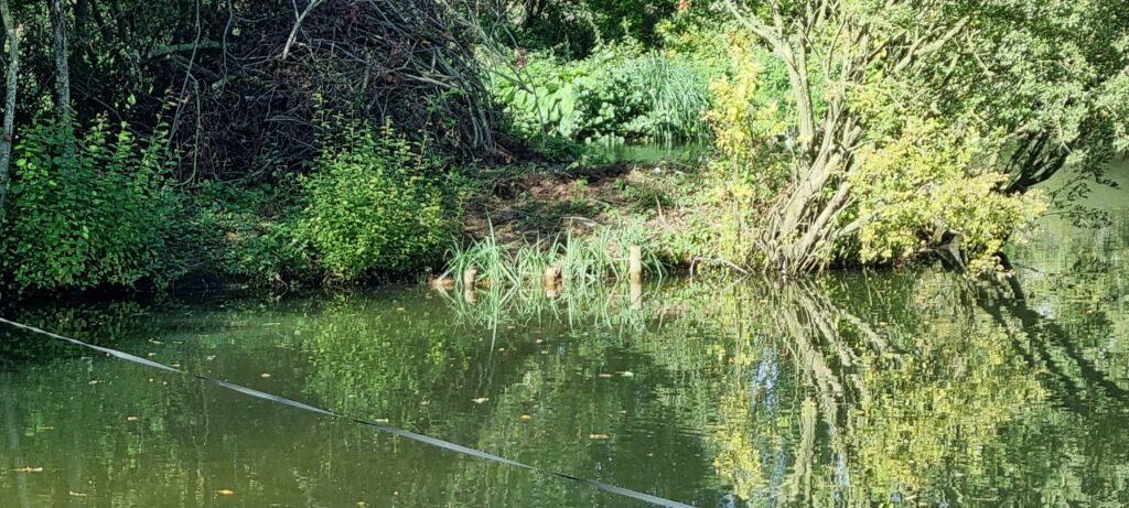 Opposite Pegs 17 and 18