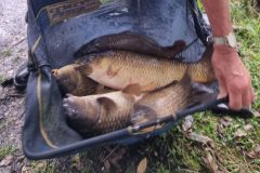 20240908_170157-EDIT-scaled