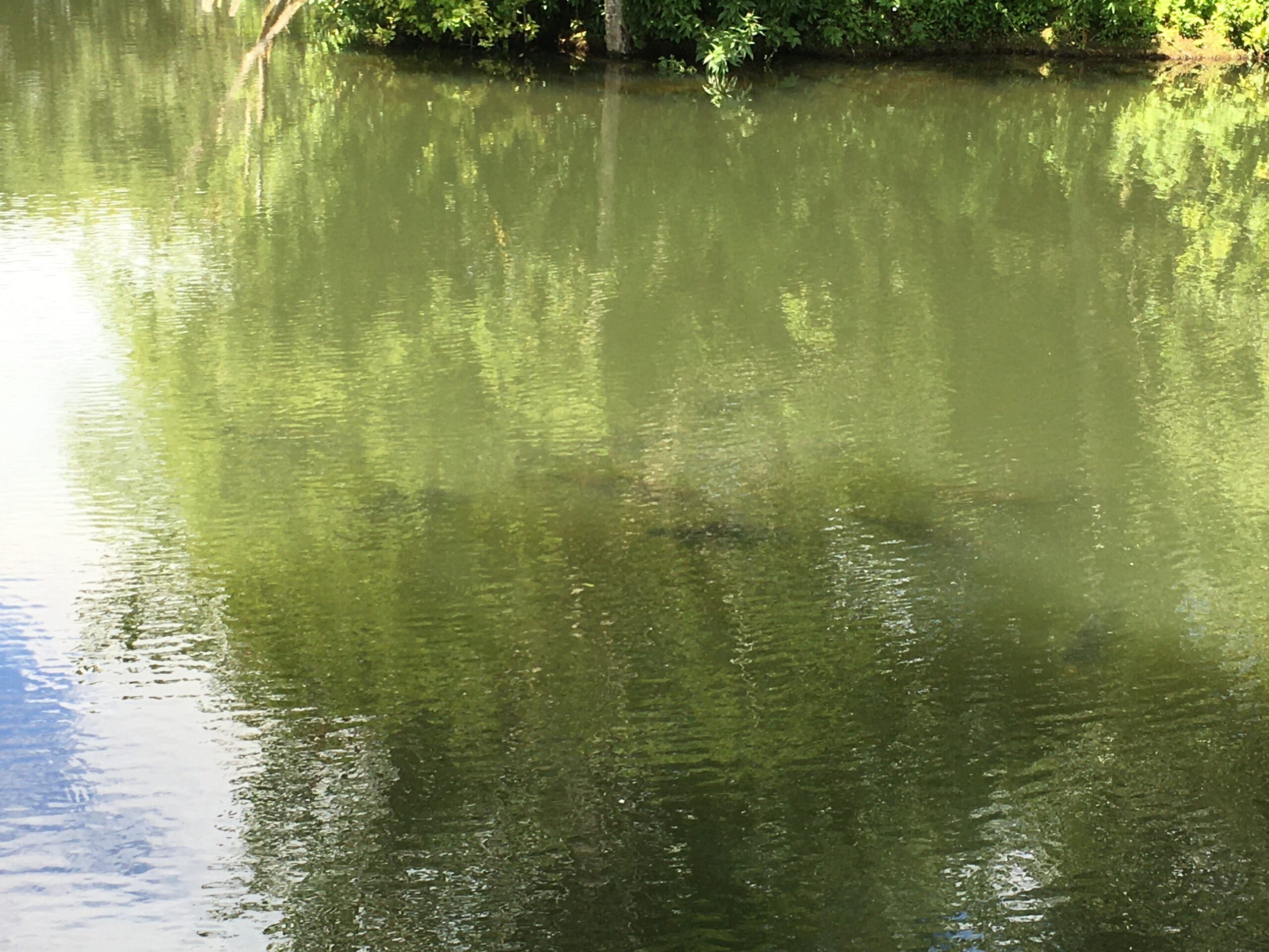 26 May, 2024 – Pools Match