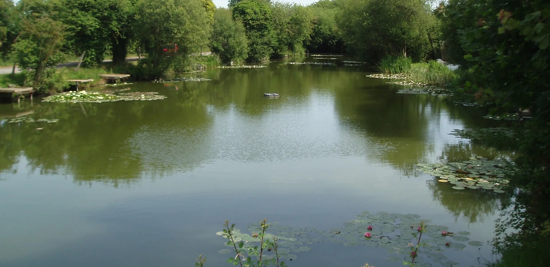 28 July, 2024 – Team Match