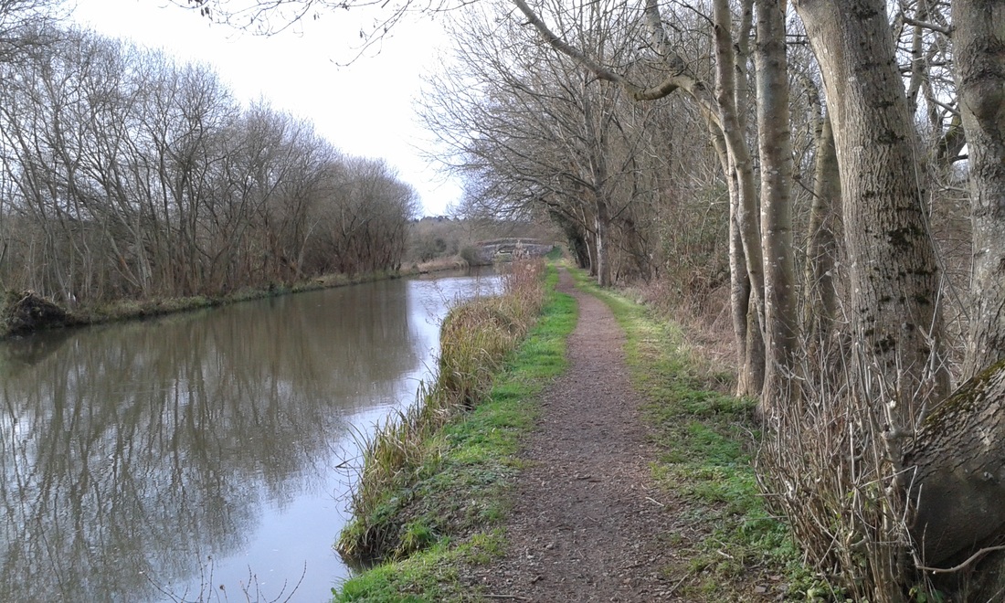 26 January, 2025 – Nick Ponting Canal Trophy 2