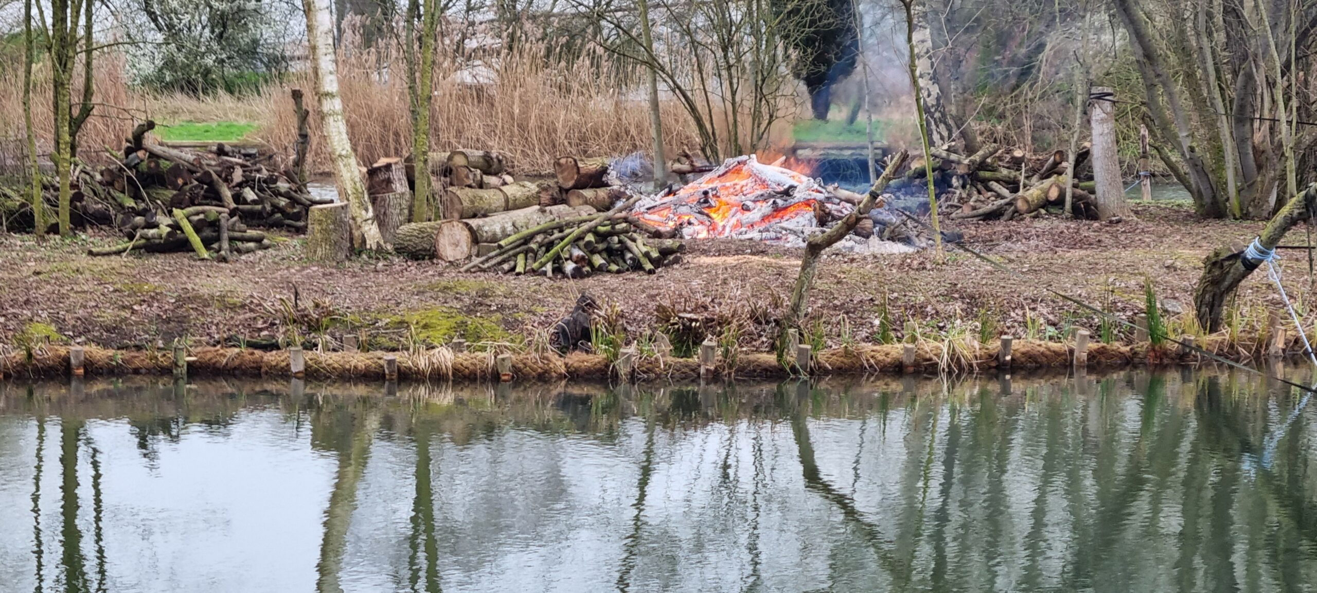 March 2026 – Club Volunteers Make Fantastic Progress at Plough Pond