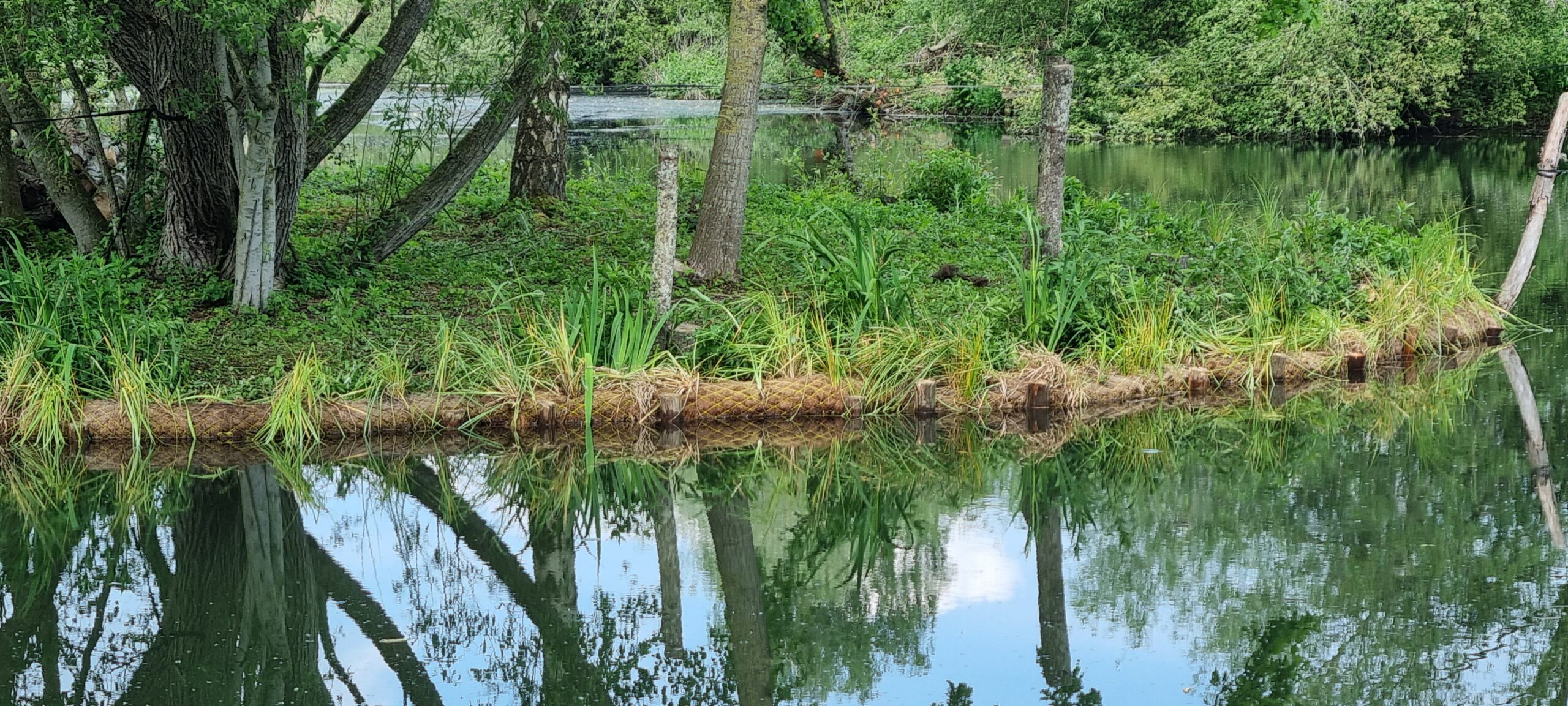 May 2026 – Final Coir Roll Installation Completed at Plough Pond